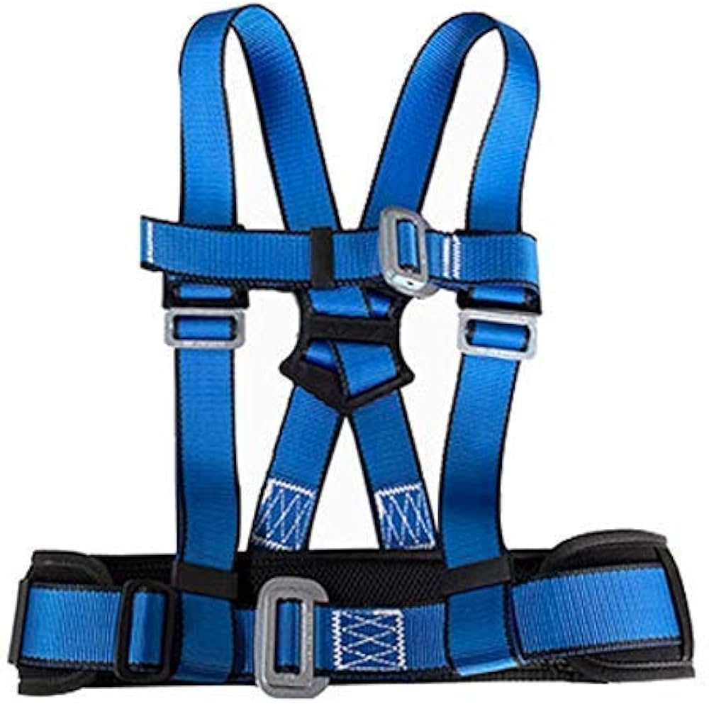 513lQ9XRjoL._AC_UF10001000_QL80_